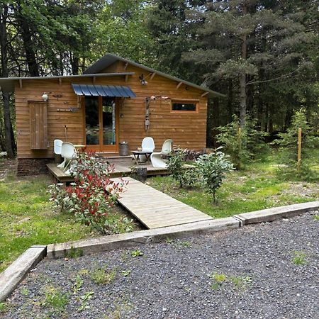Chalet Libellule Domaine De La Mamounette Champclause 外观 照片